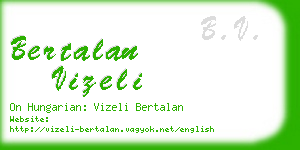 bertalan vizeli business card